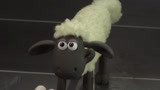 小羊肖恩大电影：小羊被人类驱赶，眼神超级无助，背影看着落寞！