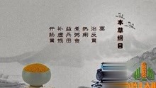 [图]谷子分春播和夏播，春谷多在北方种植，一年一熟或两年三熟地区