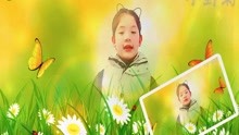 儿童诗歌《小野菊》视频