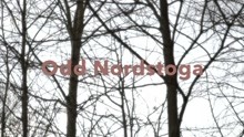 Odd Nordstoga - Fatig ferdamann 