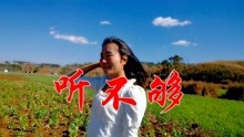 昨夜星辰歌曲谱曲_昨夜星辰歌曲图(4)