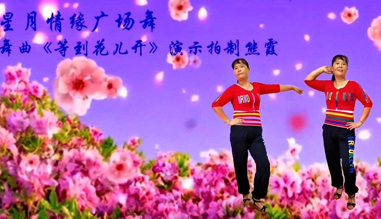 歌曲等到花儿开简谱图片