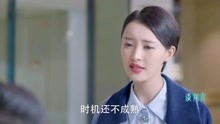 谈判官：赵晨曦后爸说为她好，却因利益逼她嫁给自己不爱的人