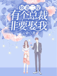 娇妻二嫁：有个总裁非要娶我