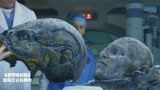 普罗米修斯：博士研究外星人头颅，突然活了过来，立马隔离