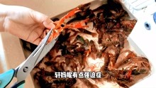 午餐VLOG，轩妈的非专业版麻辣小龙虾出锅，3斤小龙虾吃过瘾