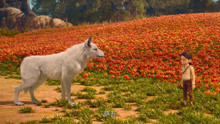 灵狼传奇：萨瓦从悬崖跌落，无路可逃，白狼突然出现吓跑土狼鬣狗