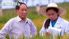 [图]袁隆平谈带研究生的标准：不下田的我不带，漂亮小姑娘也不例外