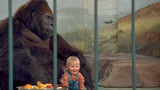 小鬼当街：宝宝为了不被坏人抓，爬到猩猩身边，真是聪明绝顶