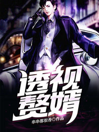 透视赘婿