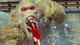 狂暴巨兽：大猩猩变异成恐怖巨兽，一口吞下了坏女人