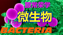 Bacteria13Bacteria superpowers细菌超能力 跟常荣学微生物学4K