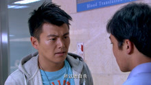 暗警：缉毒队长找到赵晓阳，说可让他重新加入警队，不过有条件！