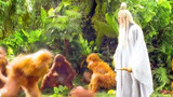 大闹天宫：菩提祖师展示法术，猴子看了就想学，猴子挺可爱的