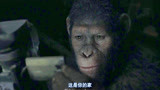 猩球崛起2：猿王凯撒看着老主人的视频，回顾往昔，泪崩了