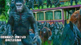 猩球崛起2：人类误闯大猩猩领地，凯撒带着大军压境！