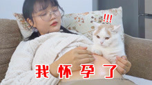 [图]假如女主人怀孕了，猫咪会不会保护孕妇？猫：有点懵！