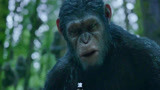 猩球崛起2：大猩猩竟然也会说人话，一声滚，吓得人类腿都软了