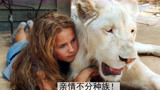 暖心！小女孩为救白狮，历经千里将它送进保护区！《白狮奇缘》