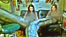 美人鱼姐妹有着巨大的鱼尾，像美女蛇怪物，被当成野兽供人们参观