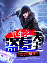 重生之盗墓天王
