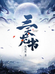 三天龙书