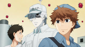 Watch the latest Cells at Work! BLACK Episode 3 online with