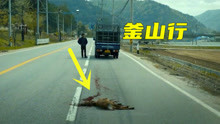 釜山行：卡车撞死了一头鹿，几秒种后鹿又复活了，灾难就此发生！