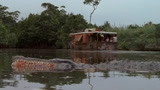 狂蟒之灾2：本以为河里只有鳄鱼，谁想还有一条大巨蟒，可怕