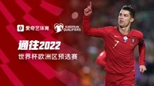 通往2022！卡塔尔世界杯欧洲区预选赛宣传片