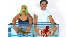 情侣挑战未知鱼缸，小伙放进两只大螃蟹，网友：想单身了？