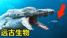 [图]12种已经消失的史前生物，它们是令人闻风丧胆的远古顶级掠食者