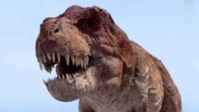 特暴龙历险记：斑点暴龙长大后，秒杀牛角龙，单眼暴龙都害怕了！