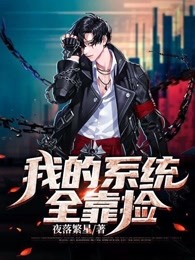 我的系统全靠捡