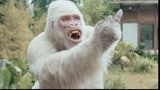 狂暴巨兽：大猩猩太会了，强森要和他击拳，它却竖起了中指！