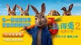 《比得兔2：逃跑计划》6月11日上映 郭麒麟惊喜配音比得兔