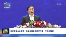  长江资本大会暨第十二届金博会在武汉开幕 王忠林致辞