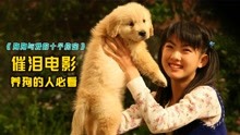 妈妈离世，14岁小女孩把一只狗当成“妈妈”|日本催泪电影