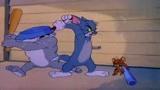 猫和老鼠：猫狗鼠三人签订和平协议，因一块肉的分配，协议破碎！