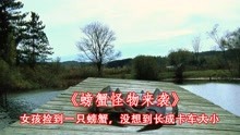 [图]女孩捡到一只螃蟹，却长成卡车大小，惊悚电影《螃蟹怪物来袭》