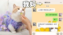 [图]单身养猫5年后，我妈：你嫁给猫吧！