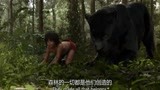 奇幻森林：大象是森林的守护神，连黑豹都要致敬，熊孩子都看呆了