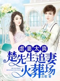 离婚后，楚先生追妻火葬场