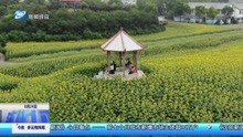 沈阳三农博览园:一步一景的“文化大观园”