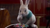 比得兔2：小兔子吃糖果，好吃到跺脚脚，真是太可爱了