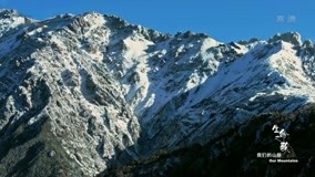 Mira lo último 雲南高原群山萬壑，生物多樣性極其豐富，國家保護動物繁多 (2021) sub español doblaje en chino