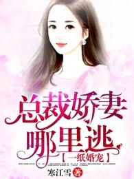 一婚成瘾：娇妻休想逃