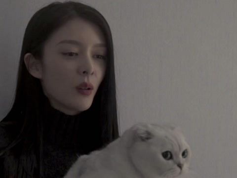 《梦见狮子》花絮：当傅菁的猫是种怎样的体验？