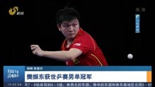 樊振东获世乒赛男单冠军