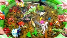 用鹅卵石和海洋生物玩具装点生态水池